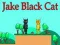 Spel Jake Zwarte Kat online