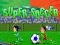 Spel Super Voetbal online