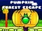 Spel Ontsnapping uit de Pompoenbos online Spel Ontsnapping uit de Pompoenbos online