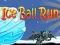 Spel IJsballet Run online