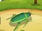 Spel Insecten Wereld Oorlog Online online