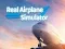 Spel Echte Vliegtuig Simulator online