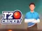 Spel T20 Cricket online