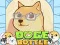 Spel Doge Fles online