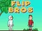 Spel Flip Broers online