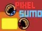 Spel Pixel Sumo online