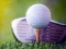 Spel Ontgrendelde Golfuitdaging online