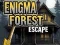 Spel Enigma Bos Ontsnapping online