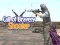 Spel Oproep tot Moed: Shooter online
