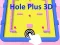 Spel Gat Plus 3D online
