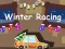 Spel Winter Racing 2D online