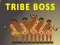 Spel Stam Baas online