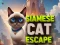 Spel Siamese Kat Ontsnapping online