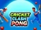 Spel Cricket Clash Pong online Spel Cricket Clash Pong online