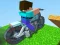 Spel Gekke Motorfiets online