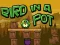 Spel Bir in een pot online