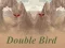 Spel Dubbele Vogel online