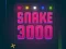 Spel Slang 3000 online