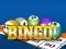 Spel Bingooo 2024 online