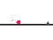 Spel Sprongen online
