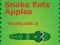 Spel Snake eet appels online