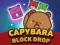 Spel Capybara -blokdruppel online