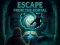 Spel Escape from the Portal online