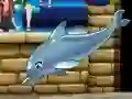 Spel Mijn Dolfijnenshow 6 online Spel Mijn Dolfijnenshow 6 online
