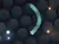 Spel Slither.io online