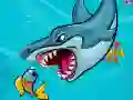 Spel Dikke Haai online Spel Dikke Haai online