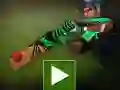 Spel Cricket Batter Uitdaging online Spel Cricket Batter Uitdaging online