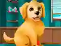 Spel Word een puppy groomer online