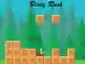 Spel Vogelrace online