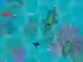 Spel Sharkz.io online