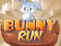 Spel Konijnenrace online Spel Konijnenrace online