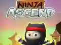 Spel Ninja Stijging online Spel Ninja Stijging online