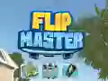 Spel Flip Meester online Spel Flip Meester online