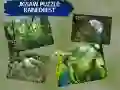 Spel Puzzel Regenwoud online