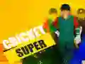 Spel Super Cricket online Spel Super Cricket online