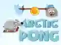 Spel Arctische Pong online Spel Arctische Pong online