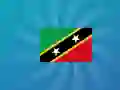 Spel Raad de Vlag online Spel Raad de Vlag online