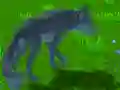 Spel Wolf Simulator online Spel Wolf Simulator online