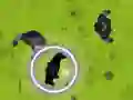 Spel Zwarte Panter: Vibranium Jacht online Spel Zwarte Panter: Vibranium Jacht online