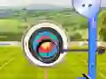 Spel Wereldtour Boogschieten online