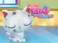 Spel Schattige Kitty Zorg online Spel Schattige Kitty Zorg online