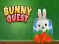 Spel Konijnen Quest online Spel Konijnen Quest online