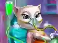 Spel Kitty Missie: Ongeval ER online Spel Kitty Missie: Ongeval ER online