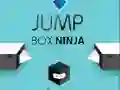 Spel Springdoos Ninja online