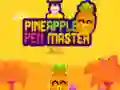 Spel Ananaspen Meester online