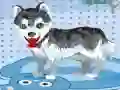 Spel Mijn schattige hond in bad online